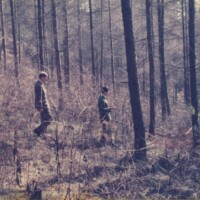 まるで彼らの初期(70年代)の絵画のよう。